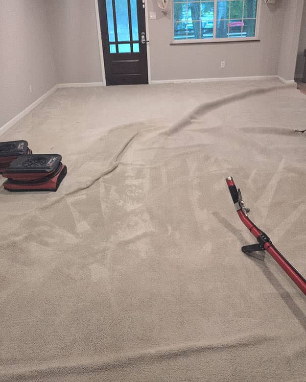 carpet cleaning